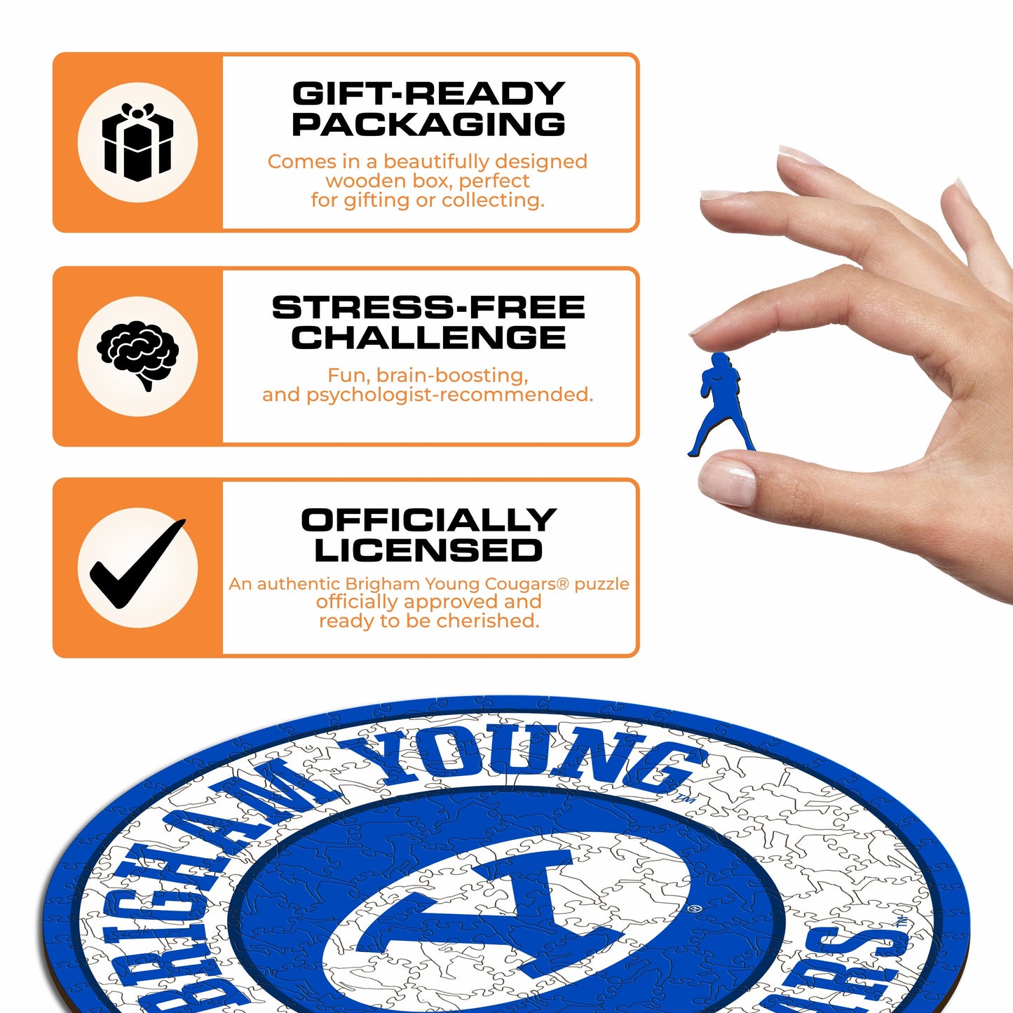 Brigham Young University - Wooden Puzzle