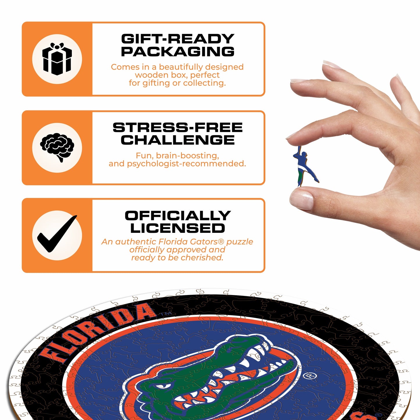 University of Florida - Wooden Puzzle