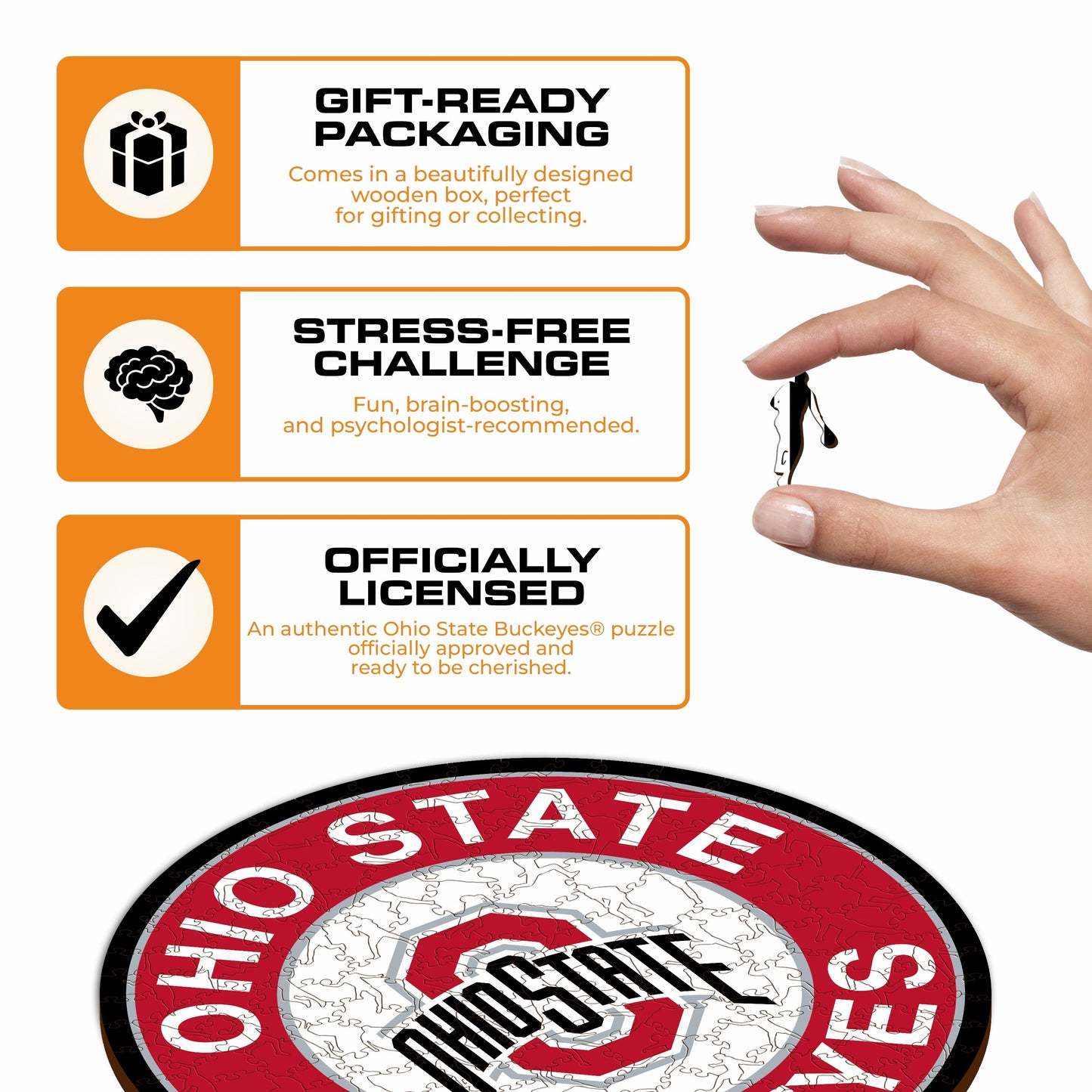 Ohio State University - Wooden Puzzle