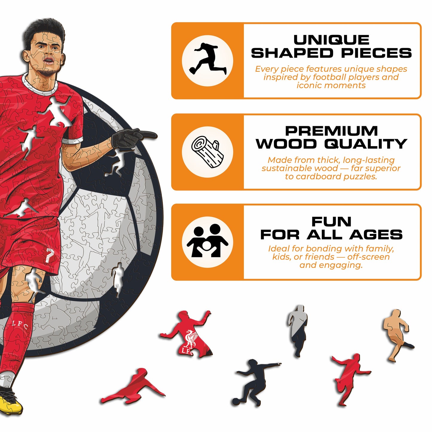 Luis Díaz - Wooden Puzzle