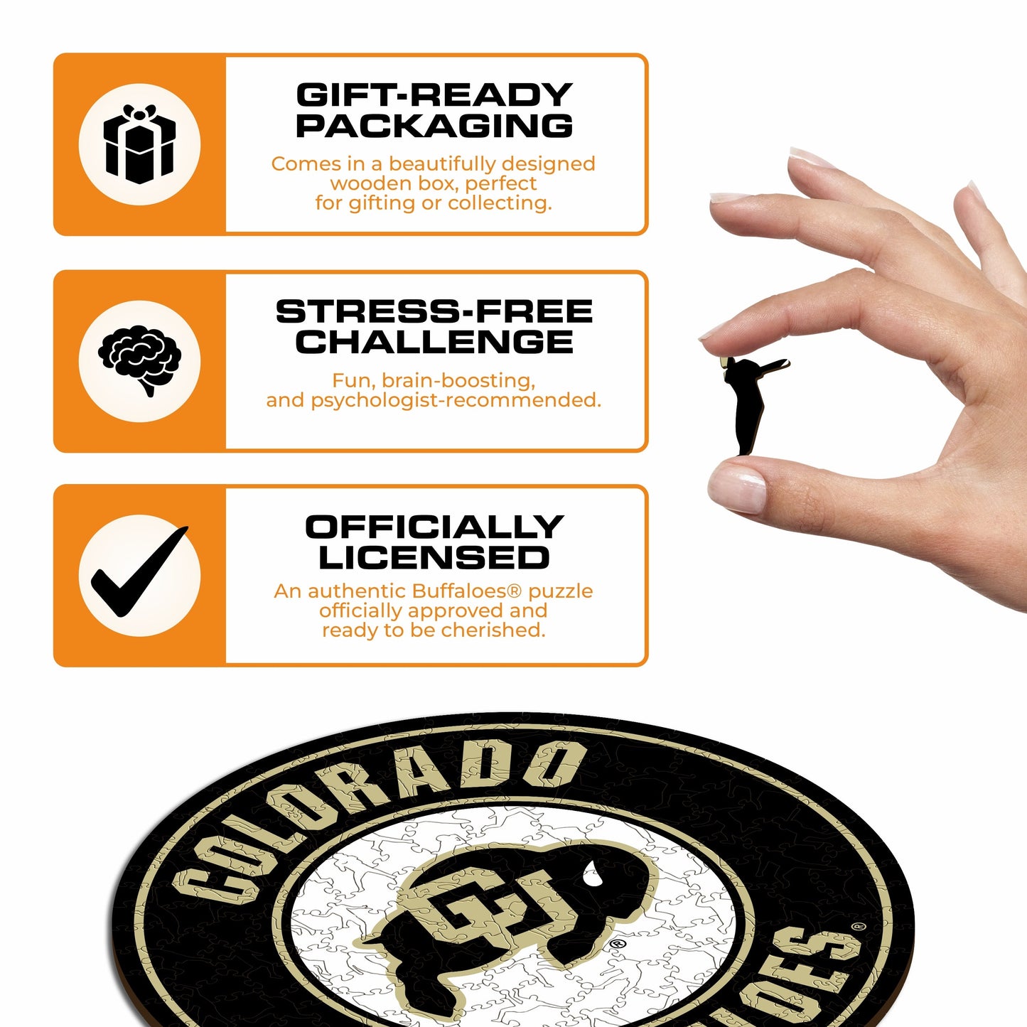 University of Colorado - Wooden Puzzle