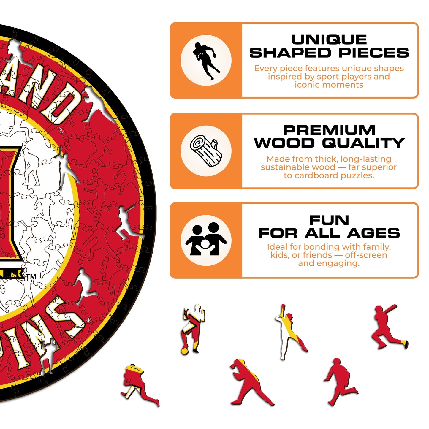 University of Maryland - Wooden Puzzle