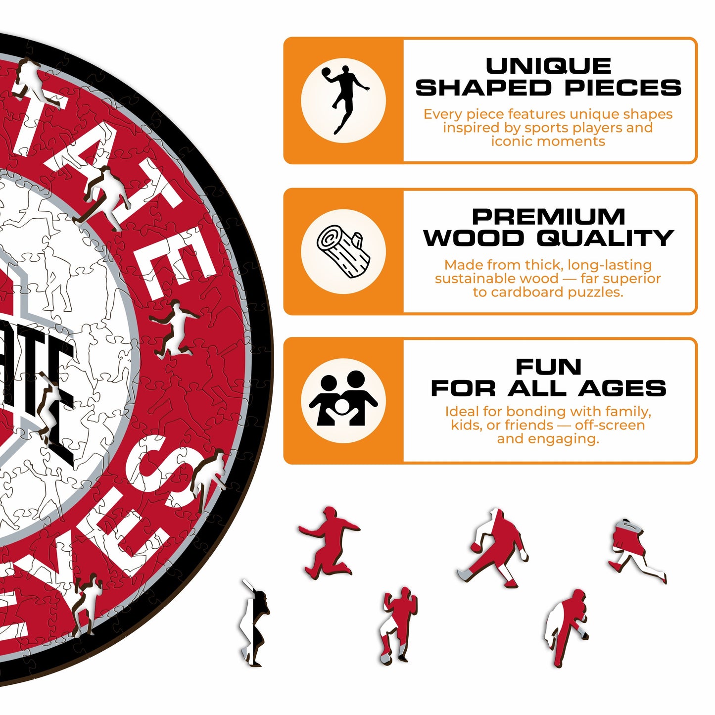 Ohio State University - Wooden Puzzle