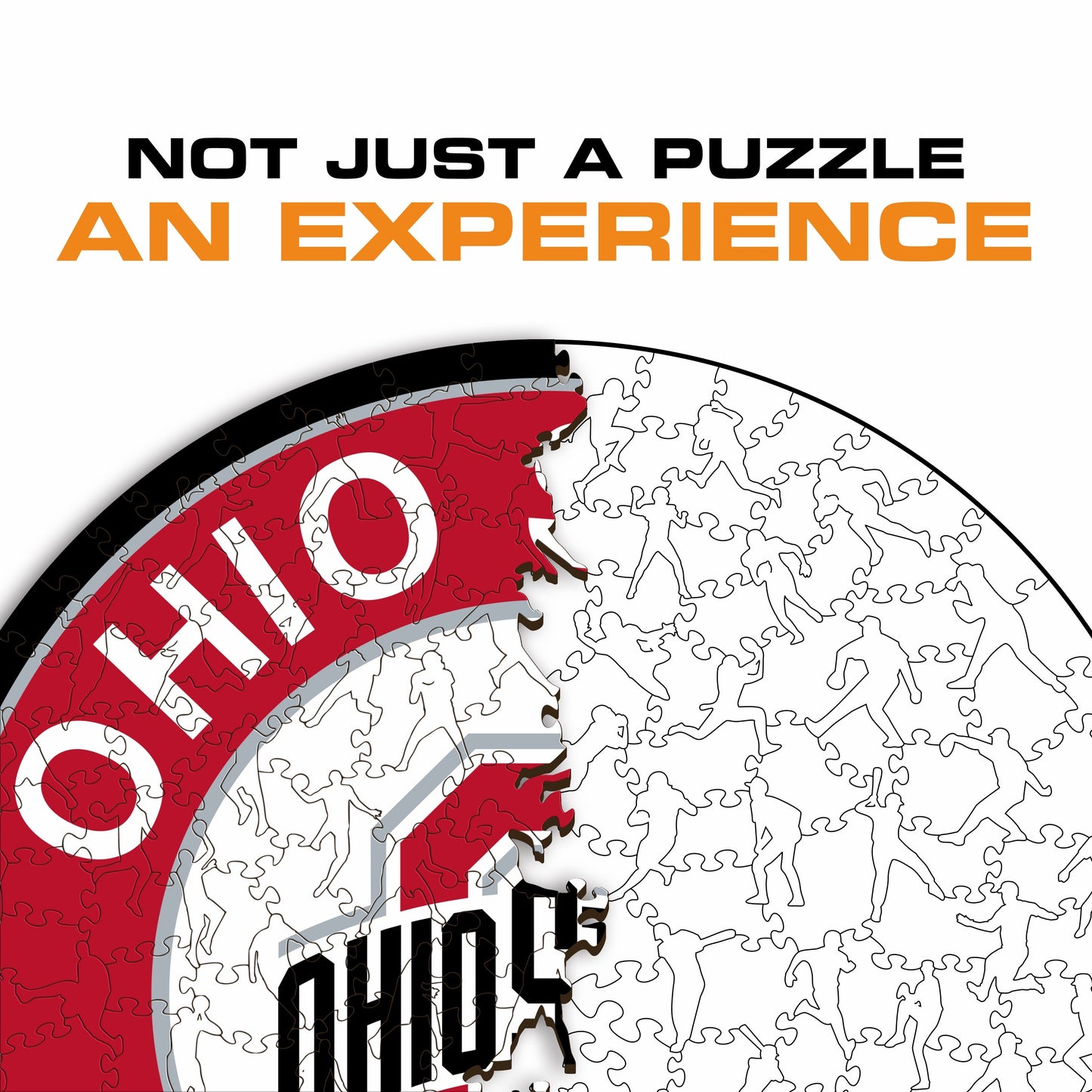 Ohio State University - Wooden Puzzle