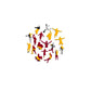 AS Roma® Logo - Wooden Puzzle