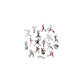 Arizona Diamondbacks™ - Wooden Puzzle