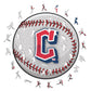 2 MLB Puzzles Of Your Choice (Up To 50% OFF)